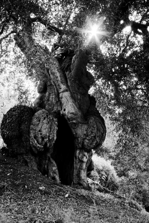 Appartamento Casa Greta Monopoli Camera foto